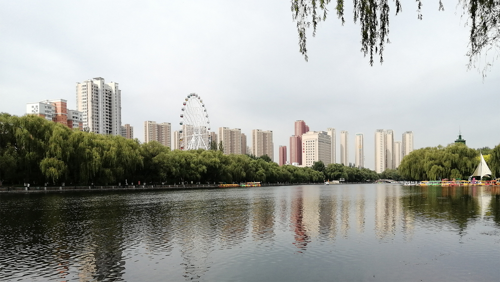 我所理解的“知天命”