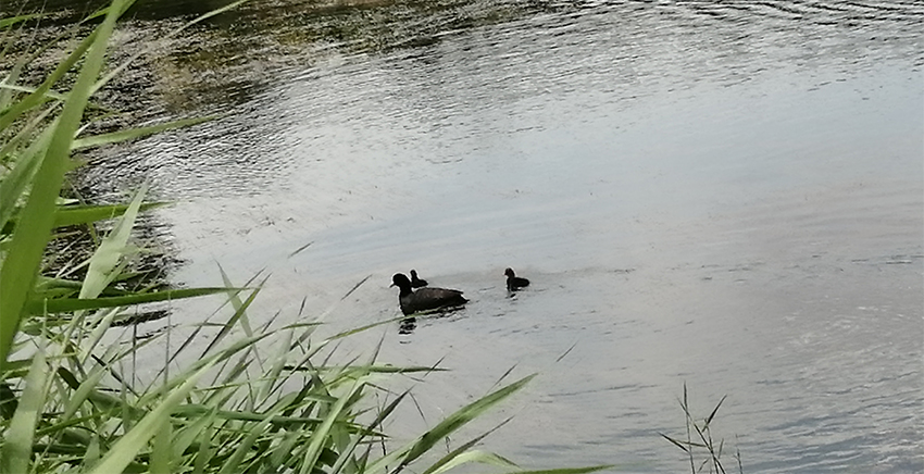 2023年终总结：酸甜苦辣，五味杂陈