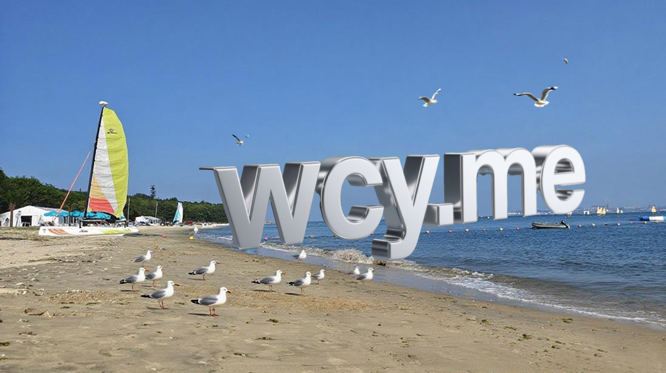 wcy.me，稀有三声.me，500刀💰求带走