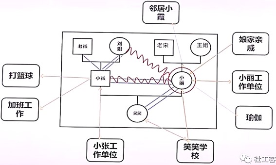 生态系统图的绘制1